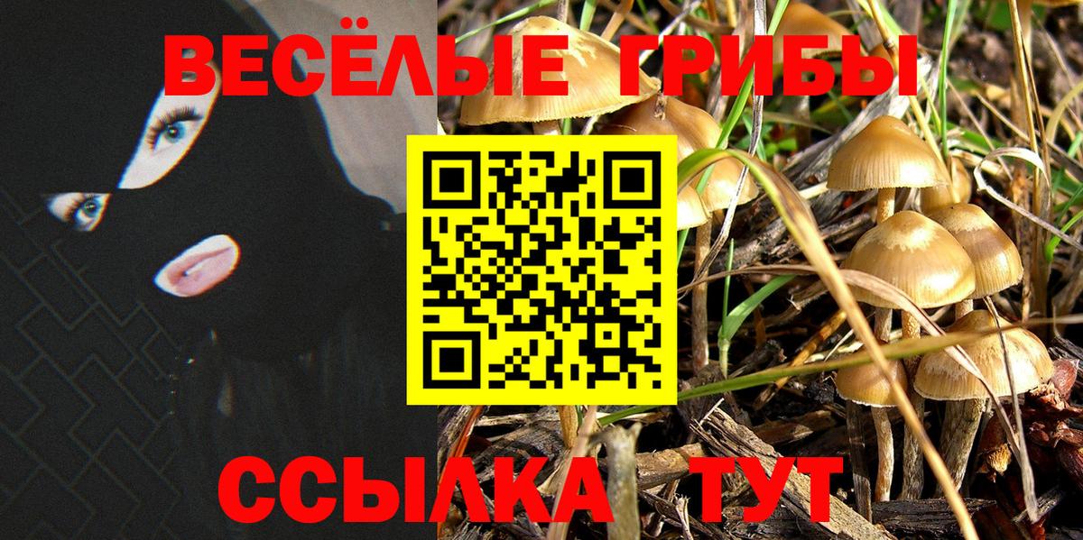 Галлюциногенные грибы мицелий Ликино-Дулёво